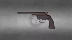 Gun Project
