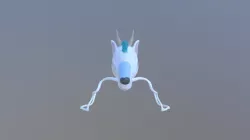 Haku head