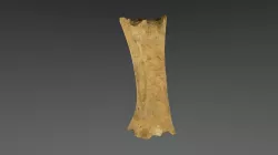 Ham Bone