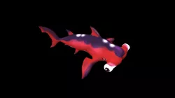 Hammerhead Shark
