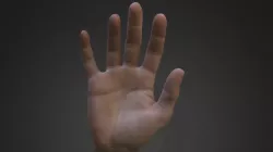 Hand
