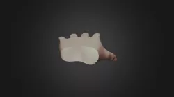 Hand