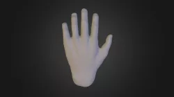 Hand