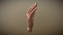 hand