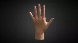 Hand Practice