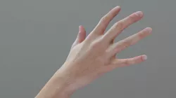 Hand sample2 (3D Scan 8.8k Poly)