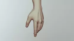 Hand Study