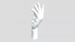 Hand