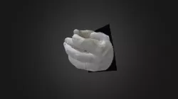 Hands