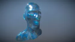 Head
