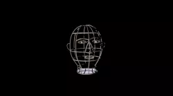 Head