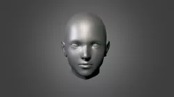 Head Base Mesh