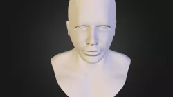 Head Model