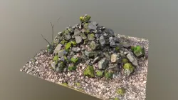 Heap of stones in forest