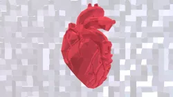 Heart