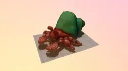 Hermit crab