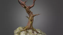 Hero Tree Rock