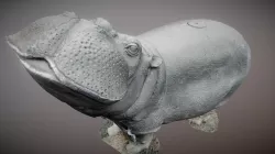 Hippo Photogrammetry C Canoe