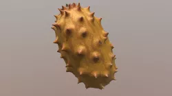 Horned Melon