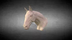 Horse Head sculpt
