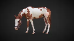 Horse - pose4