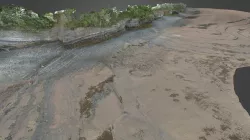 Horton Bluff - Beach Section