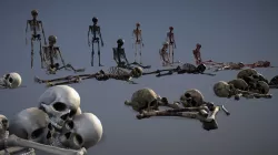 Human Bones Set