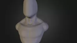 Human Bust