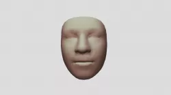 Human face