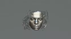 Human Face
