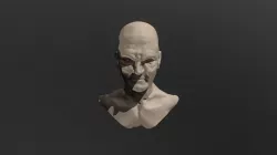 Human face study