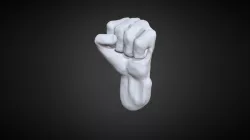 human fist study (WIP)