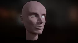 Human head