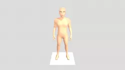 Human interface