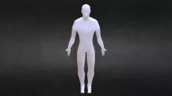 Human