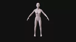 Human Make test