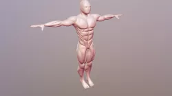 Human male
