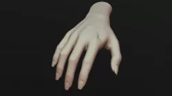 Humanoid (Female) Hand 7