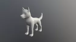 Husky Puppy