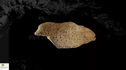 Ice age art, fish