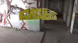 Igs