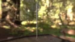 Immovable Rod
