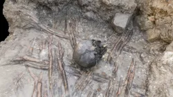 In situ-skull on a woven platform.
