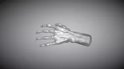 Iron Hand