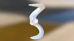 IT3D-2017-02-14-001- Sheep Horns-V1 2