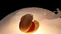Japanese Soy Sauce Mochi
