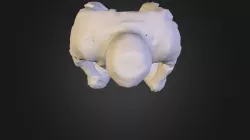 jAR_model