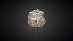 Jellyfish