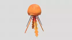 jellyfish
