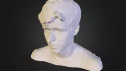 Joey Fixed